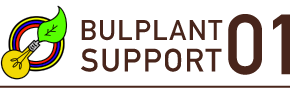 BULPLANT SUPPORT 01