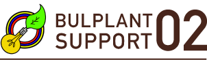 BULPLANT SUPPORT 02