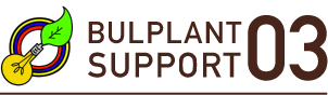 BULPLANT SUPPORT 03